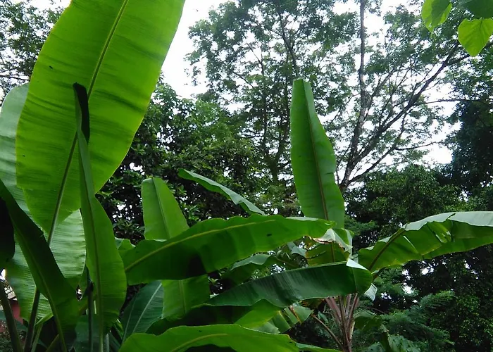 Lodge Ecopacific Lodge Santa Teresa *